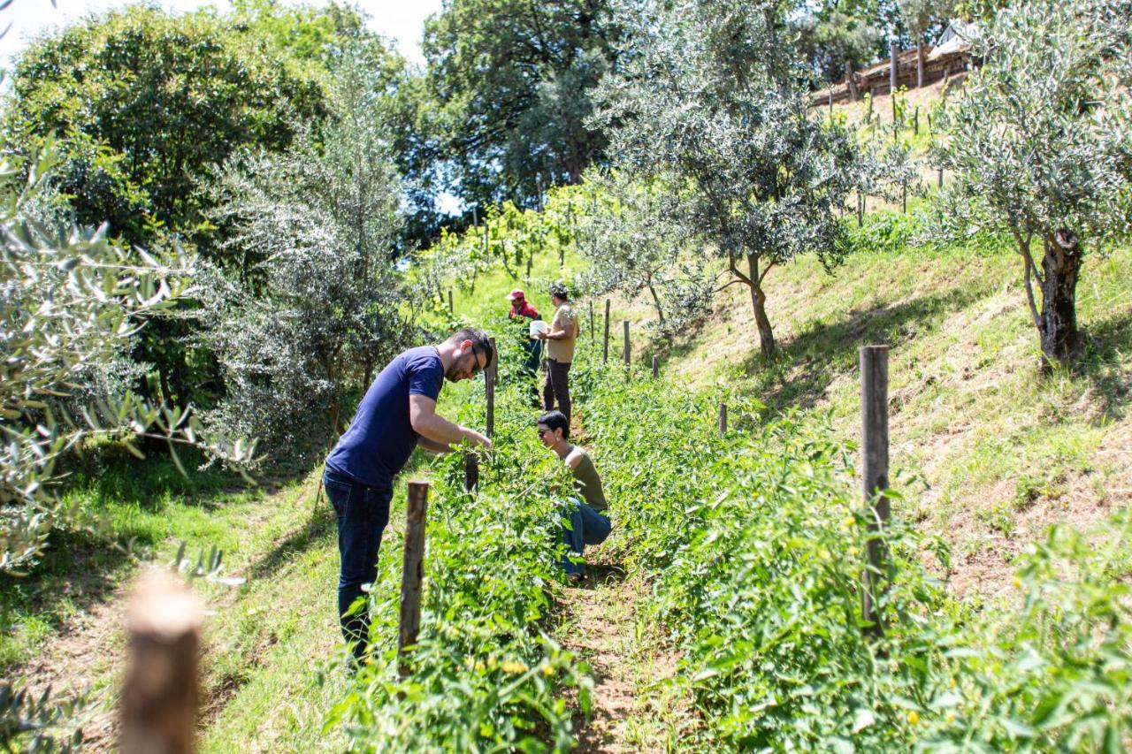 Home 4 Creativity - Coliving Calabria Montalto Uffugo Eksteriør bilde